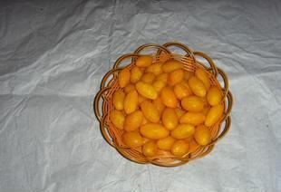 【广东特产潮州特产 蜜浸橄榄 休闲食品 生津止渴】价格,厂家,批发,果脯、蜜饯、果干,姚雪红(个体经营)-中国网库