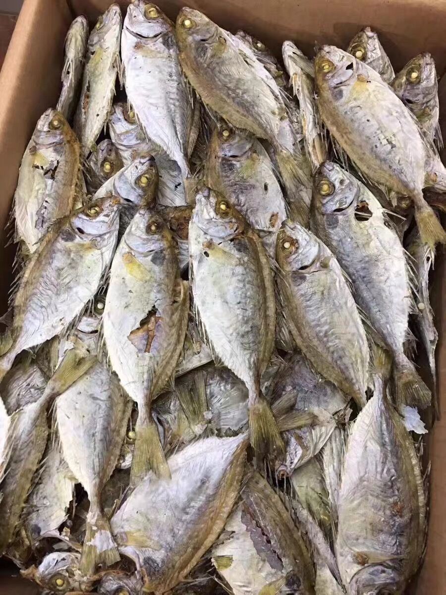 广东潮州特产海捕新鲜日晒泥猛鱼干渔家自晒娘哀鱼干海味干货250g