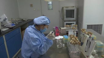 别吃了 省市场监管局发布21批次食品不合格 涉及火锅调味料 熟肉制品